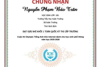 VINH DANH HỌC SINH ĐẠT GIẢI TRONG KỲ THI IOE TRÊN INTERNET VÒNG CẤP TRƯỜNG NĂM HỌC 2025-2026.