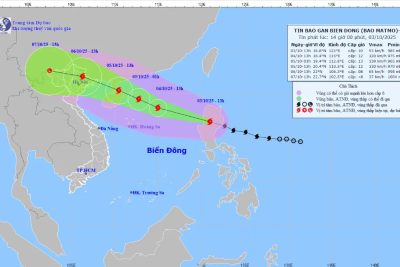 Ninh Bình: Tăng cường lãnh đạo, chỉ đạo công tác ứng phó với bão số 11 (MATMO)