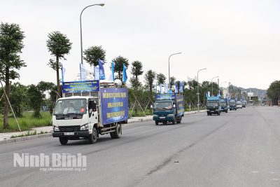 UBND tỉnh phát động Phong trào “Bình dân học vụ số”